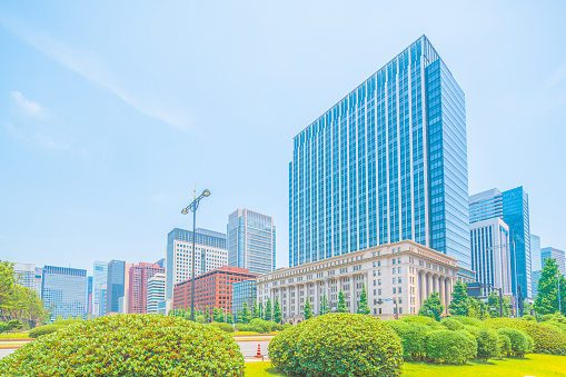 Buildings of Shiodome in the Background, Tokyo