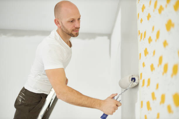 istock A middle-aged man paints paint on a wall in his house using a paint roller, paint bucket, paint and a ladder 1223324763