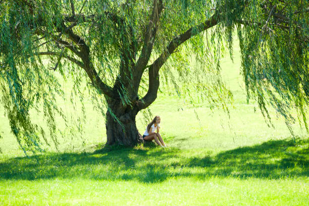 かわいい十代の少女は、木を意志の下に座って - middle human age leaf tree ストックフォトと画像