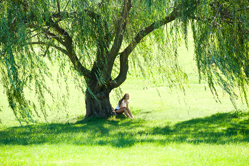 Caucasian young adult with long brown hair wearing shorts and a white tshirt sits under a giant willow tree on a sunny summer day, Indiana, USA