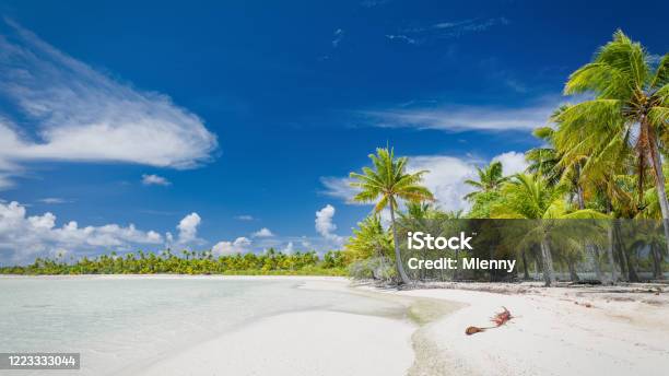 Blue Lagoon Fakarava Atoll Teahatea Beach Panorama French Polynesia Stock Photo - Download Image Now