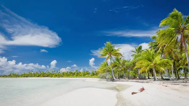 Panorama of French Polynesia Fakarava Atoll Teahatea Blue Lagoon Beach. Teahatea, the beautiful, untouched natural lagoon and beach in the UNESCO Nature Biosphere Reserve with tropical palm trees. Blue Lagoon Beach, Fakarava Atoll Island, Tuamotu Islands Archipelago, French Polynesia, South Pacific Ocean.