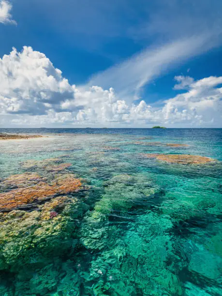 French Polynesia Fakarava Atoll Natural Transparent Coral Reef in the UNESCO Nature Biosphere Reserve. Fakarava Atoll Island, Tuamotu Islands Archipelago, French Polynesia, South Pacific Ocean.
