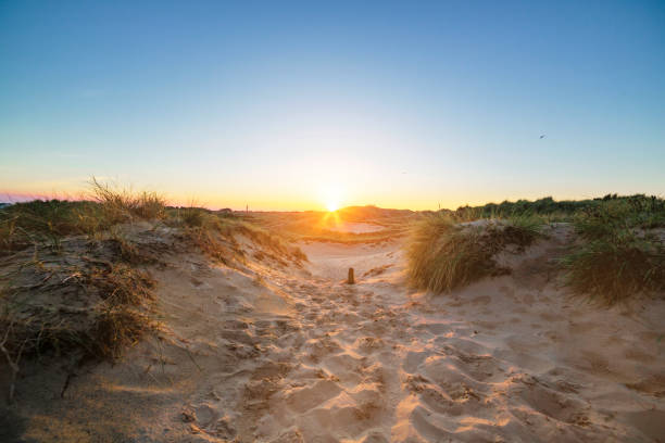 istock Evening sun over the dunes of Amrum 1223338851