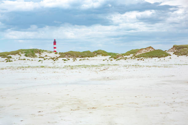 Red and white lighthouse on the hill in Amrum Red and white lighthouse on the hill viewed from low angle with green grass and white sand dunes in foreground on a sunny day in Amrum, Germany, Schleswig-Holstein amrum stock pictures, royalty-free photos & images