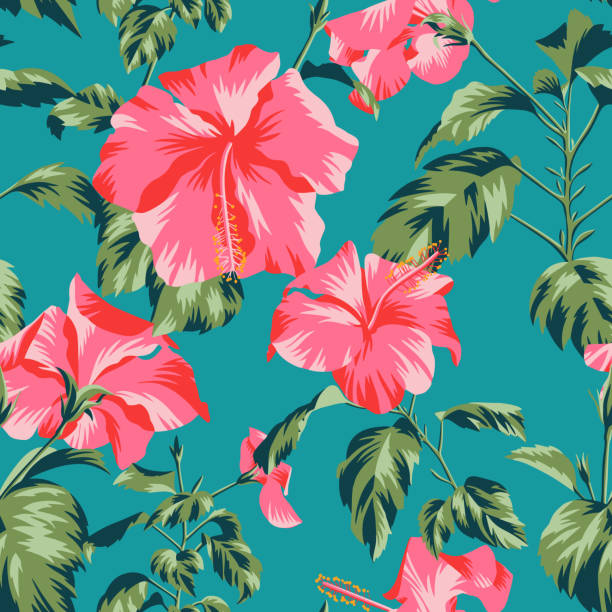 Floral seamless pattern with Chinese Hibiscus rose flowers. Beautiful botanical repeat background. Floral seamless pattern with Chinese Hibiscus rose flowers. Graphic texture art design, For textile, fabric, fashion, wrapper and surface. tropical blossom stock illustrations
