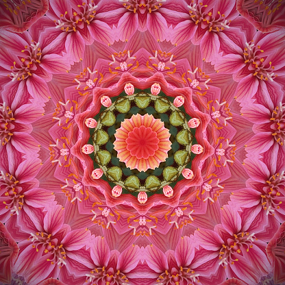 Kaleidoscope of a geometric flower pattern.