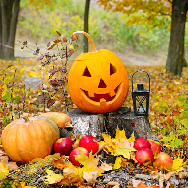 Pumpkin-head against a background of a autumn forest.