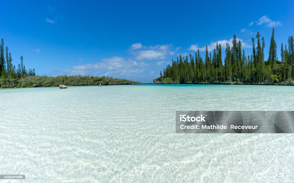Natural swimming pool in New Caledonia Natural swimming pool in New Caledonia with the typical famous pines in the archipelago. beautiful turquoise water. Panoramic format New Caledonia Stock Photo