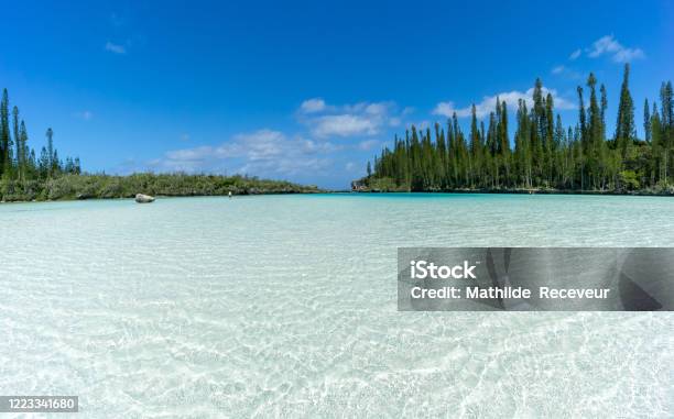 Natural Swimming Pool In New Caledonia Stock Photo - Download Image Now - New Caledonia, Pines Island, Caledonia County