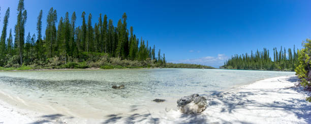 Natural swimming pool in New Caledonia
