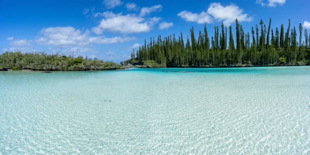istock Natural swimming pool in New Caledonia 1223341729