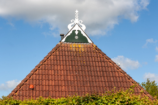 Detail of the roof of an ancient Dutch farm