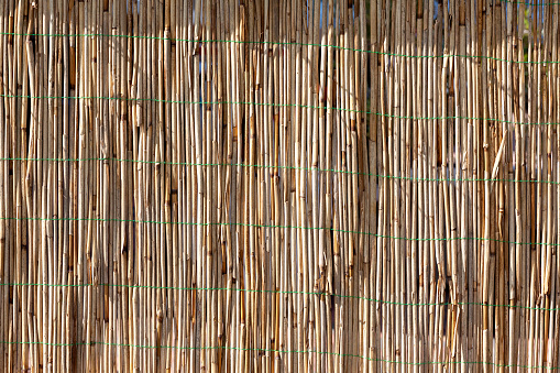 Picture of a Bamboo fence background