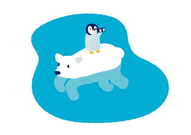 ilustrações de stock, clip art, desenhos animados e ícones de penguin and white bear searching - penguin animal white background king penguin