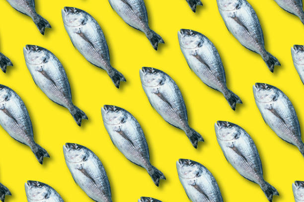 istock Fish pattern on yellow background. Top view. Creative design for packaging. Food seamless pattern. Seafood, dorado fish concept 1223344743