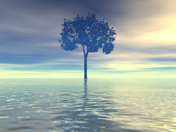 istock Fantastic landscape of Sea and Tree 1223346180