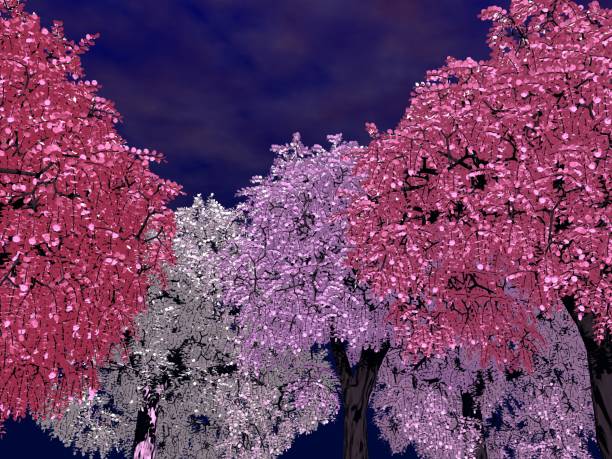 istock Fantastic landscape of Sky and Cherry Blossoms 1223349736