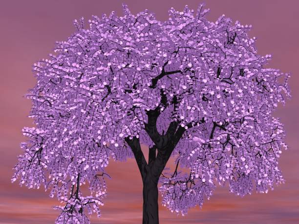 istock Fantastic landscape of Sky and Cherry Blossoms 1223349831