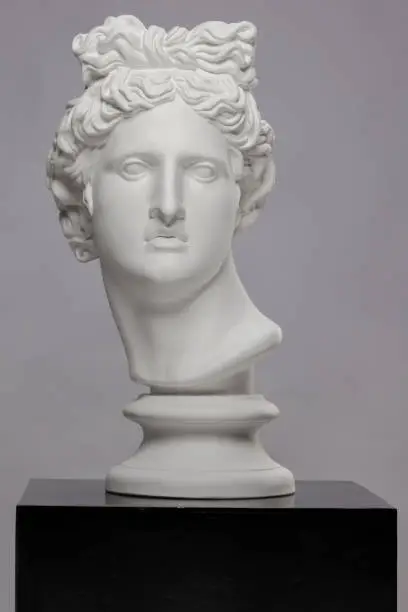White plaster statue of a bust of Apollo Belvedere