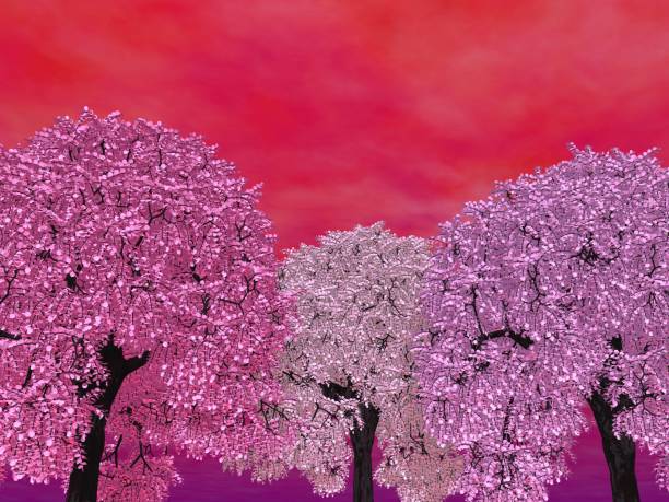 istock Fantastic landscape of Sky and Cherry Blossoms 1223349892