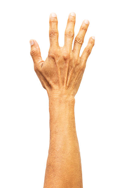 Raising hand on white background with clipping path