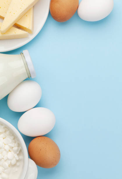 istock Dairy products, milk, cottage, cheese and eggs 1223350629