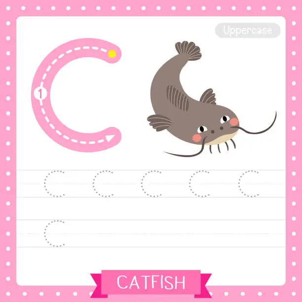 Vector illustration of Letter C uppercase tracing practice worksheet. Funny Catfish