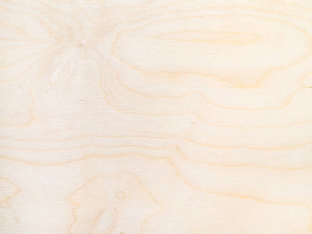 istock surface of plywood from natural birch tree 1223353131