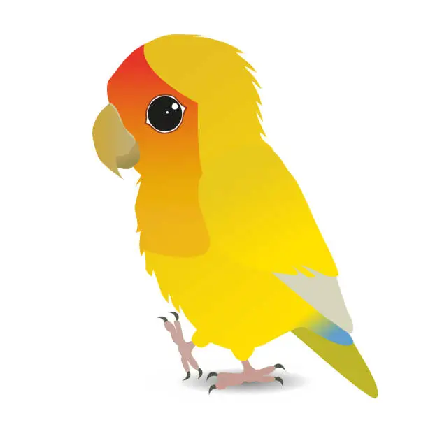 Vector illustration of Cute yellow peach faced lovebird