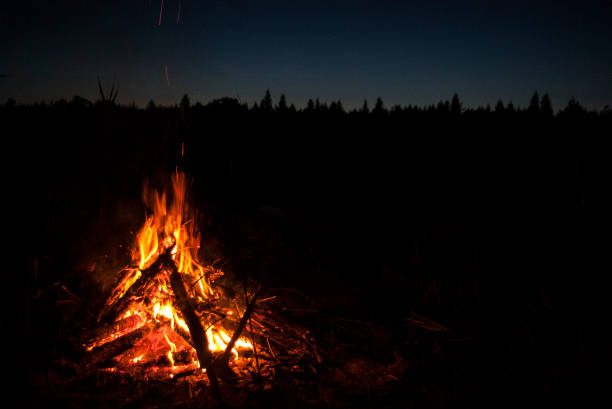 istock Bonfire in the forest at night 1223356443