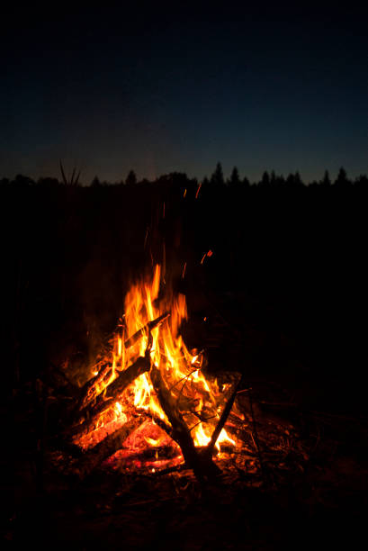 istock Bonfire in the forest at night 1223356453