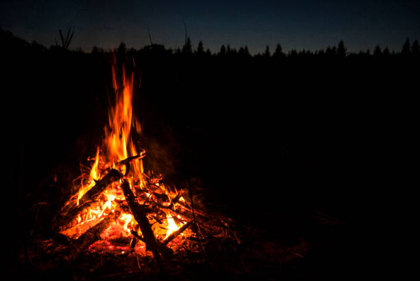 istock Bonfire in the forest at night 1223357005