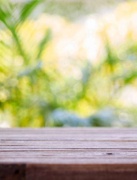 istock Empty wooden desk top with blurred nature background. 1223357485