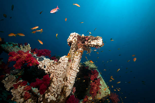 istock Cargo of the Yolanda wreck. 122335767