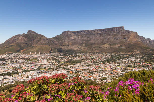 istock Table mountain and Devils Peak in Cape Town from Signal Hill 1223358586