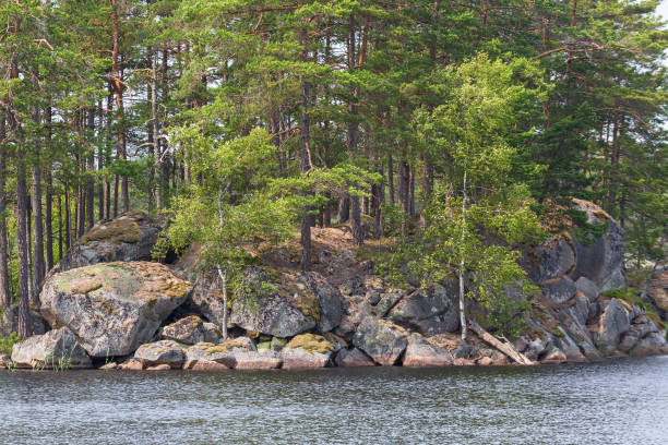 istock Rocks in the forest by the lake 1223358673