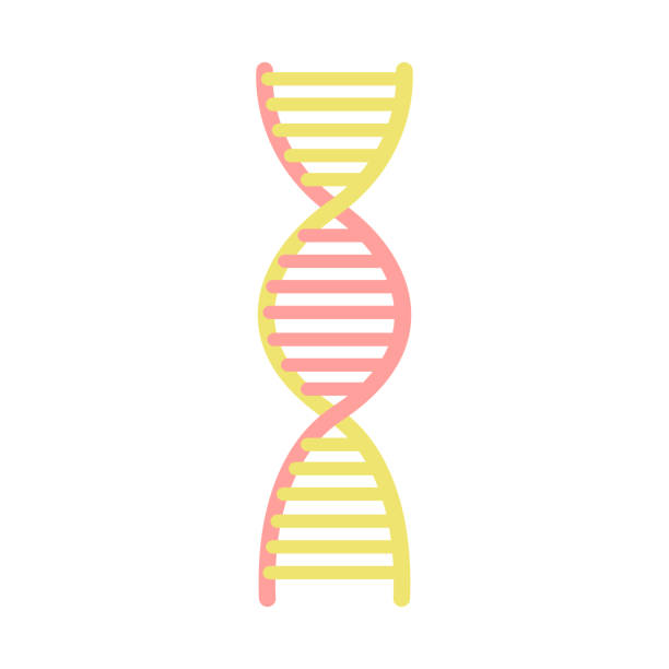 Cartoon Of The Dna Double Helix Illustrations, Royalty-Free Vector Graphics  & Clip Art - iStock