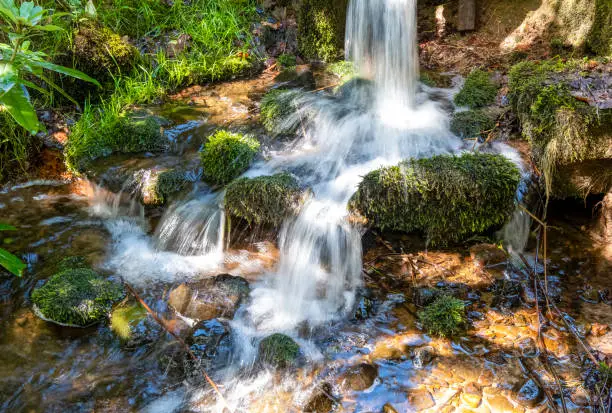 Photo of Waterfall into a woodland stream