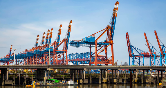 Harbor cranes and panorama in the container port of Hamburg