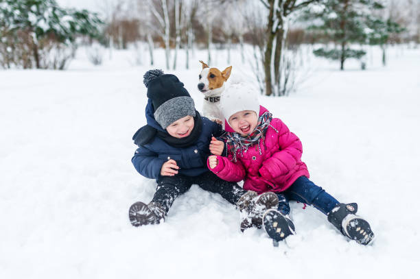 children playing with jack russell terrier puppy in the park in the winter in the snow - baby animals audio imagens e fotografias de stock