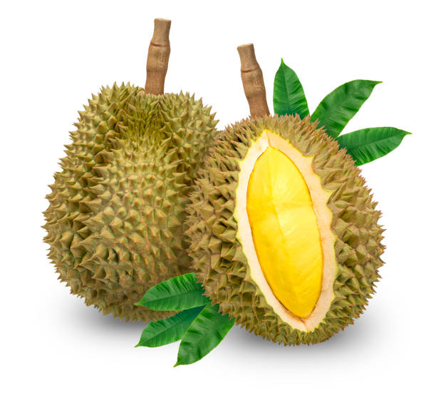 istock Fresh durian with leaf isolated on white background, Durian fruit isolated on white background With clipping path 1223366825