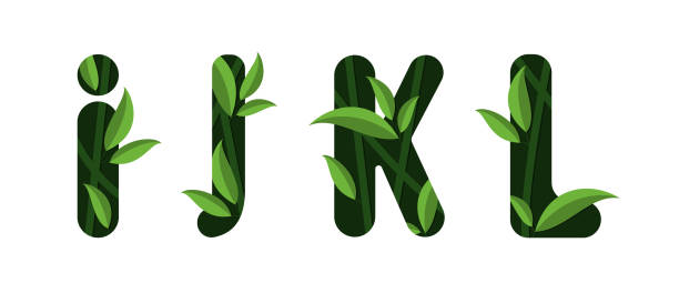 ilustraciones, imágenes clip art, dibujos animados e iconos de stock de letras vectoriales i j k l del alfabeto. diseño de hoja. - letter i letter j letter k letter l