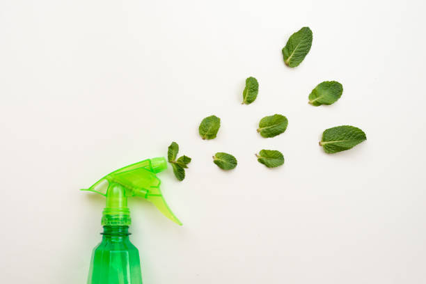 istock Detergent green bottle on a pink background spray a fresh mint leaves. - Copy space 1223374207