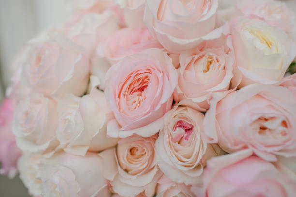 istock White and pink roses bouquet 1223379103
