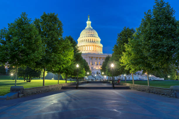istock The United States Capitol building 1223379645