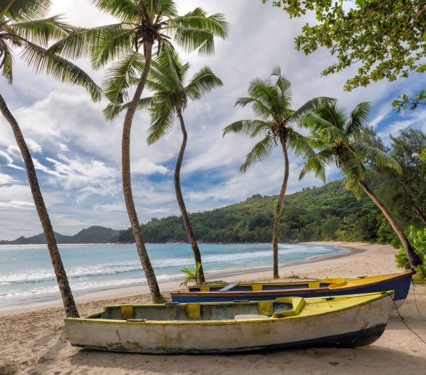 Fishing boats on tropical beach Exotic tropical beach with coco palm trees and a fishing boats in the turquoise sea on Paradise island. palolem beach stock pictures, royalty-free photos & images