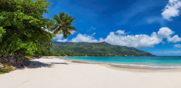 istock Beautiful sandy beach in paradise island 1223380591