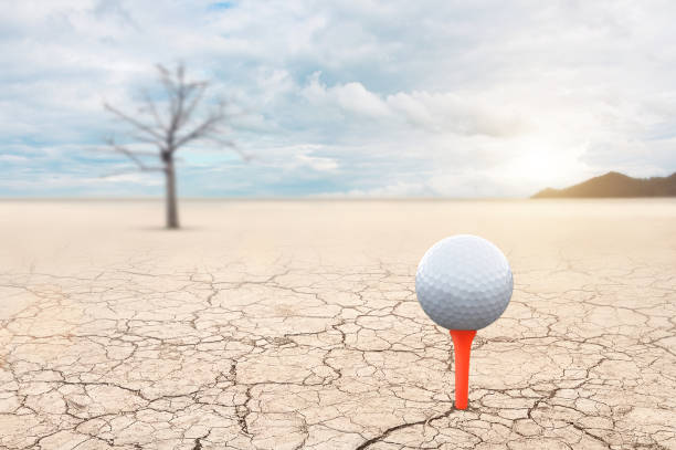 朝の日差しを浴びた広大なひび割れた地面のゴルフボール。 - driest ストックフォトと画像