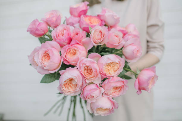 istock Pink and orange peony roses 1223380715